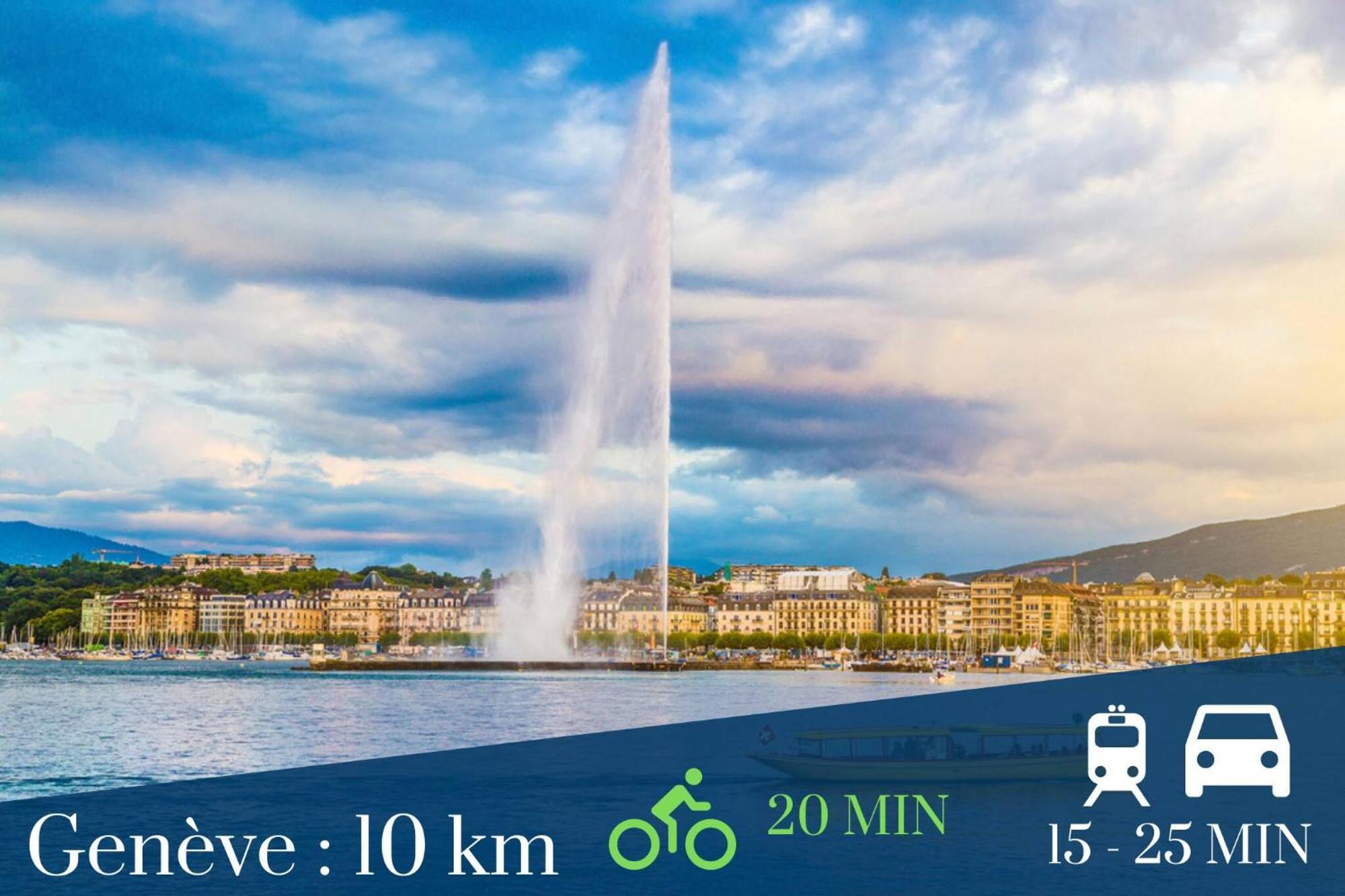 Homey Superchill - Appartement Moderne Et Tout Equipe - Netflix Et Wifi Inclus - Situe En Hyper-Centre - Proche Geneve Annemasse Exteriör bild
